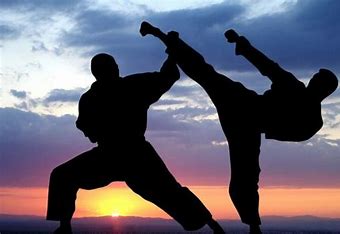 Martial Arts Society Présentation