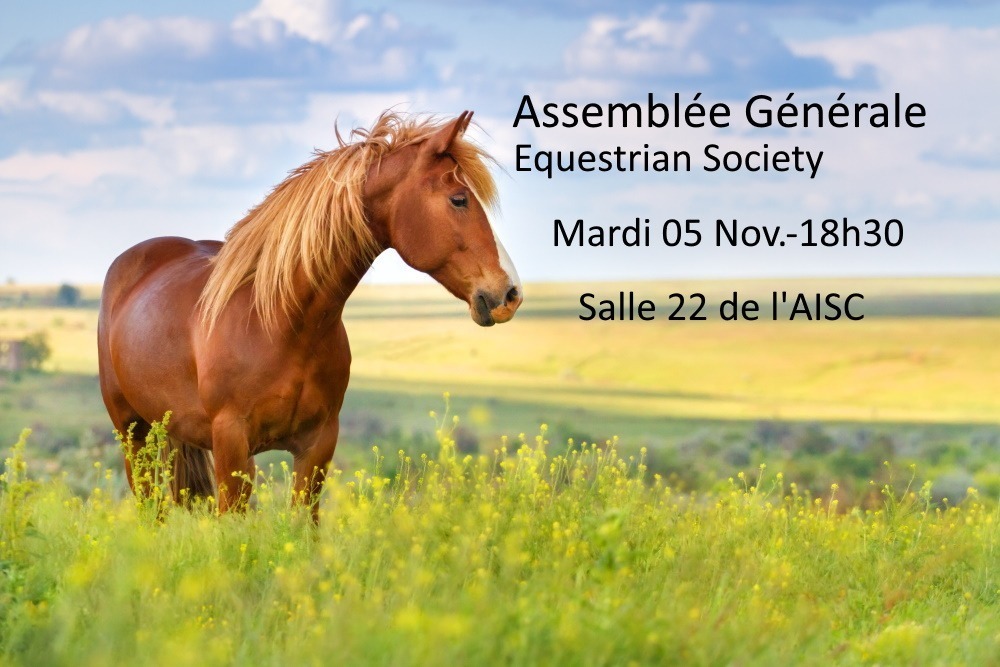 You are currently viewing EQUESTRIAN SOCIETY : Assemblée Générale – Mardi 05 Novembre 2024
