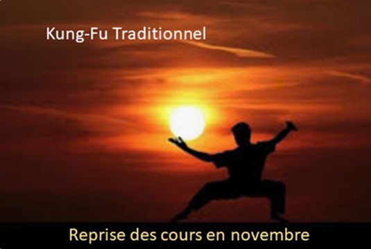 You are currently viewing MARTIAL ARTS Society : Venez découvrir les cours de WING CHUN