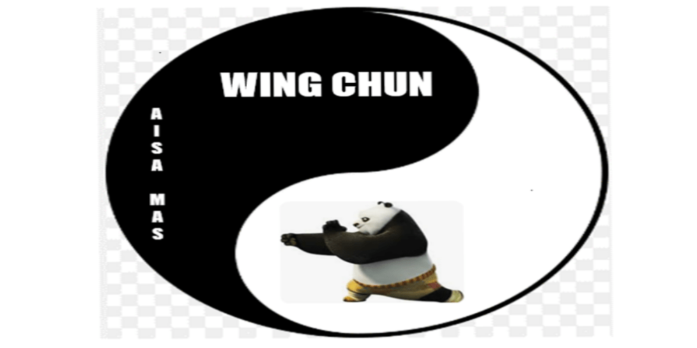 You are currently viewing MARTIAL ARTS Society : WING-CHUN / KUNG-FU Traditionnel