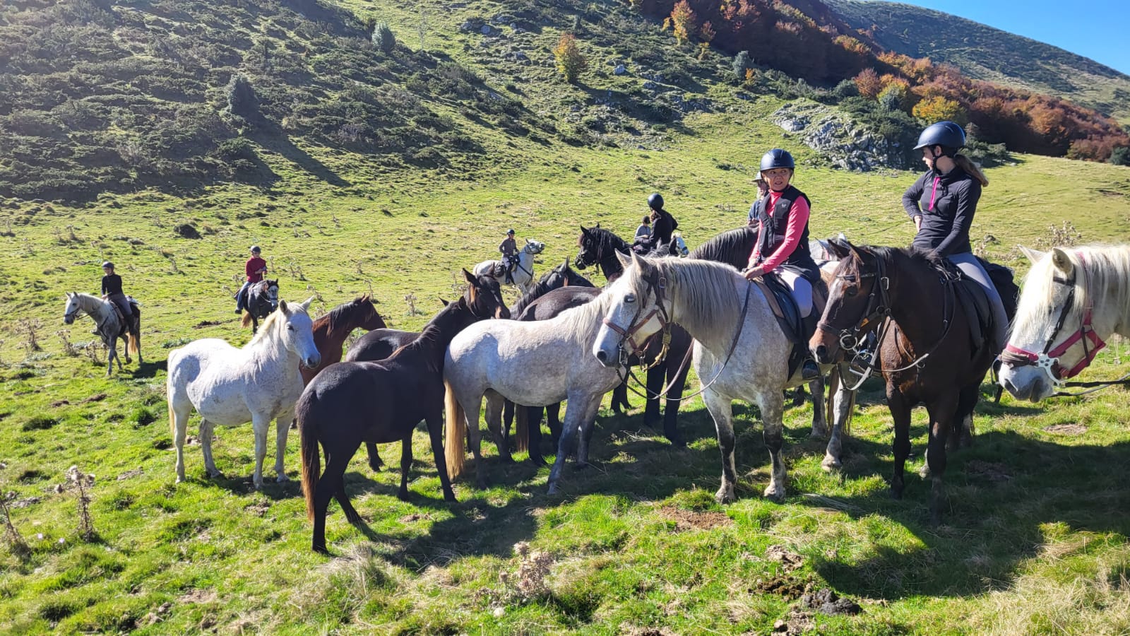 TRANSHUMANCE à Cheval : Récit d'un week-end incroyable